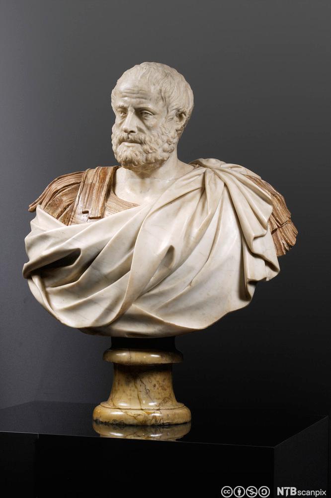 Byste av filosofen Aristoteles. Foto. 