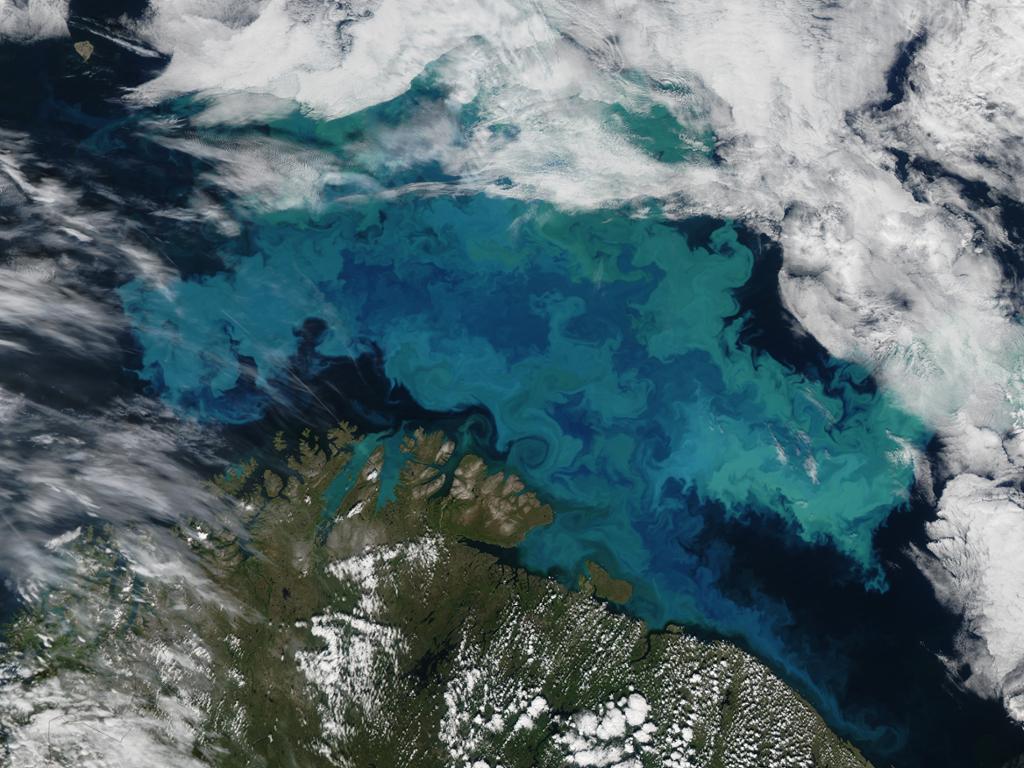Satellittbilde av Barentshavet. Foto.