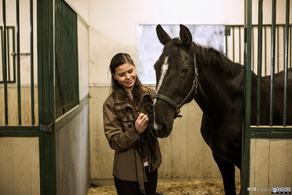 Jente og en hest i stallen. Foto.