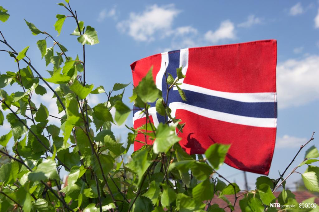 Det norske flagget. Foto.