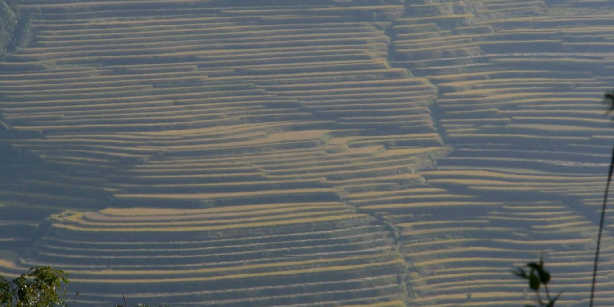 Etasjevise rismarker i fjellandskap i Kina. Foto. 