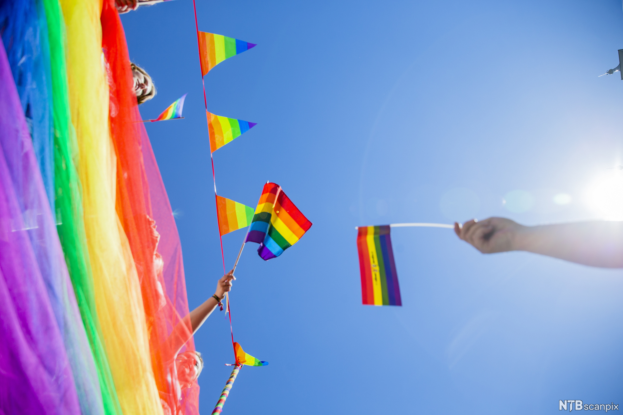 Ei rekkje regnbogeflagg under Oslo Pride Parade i 2018. Foto. 