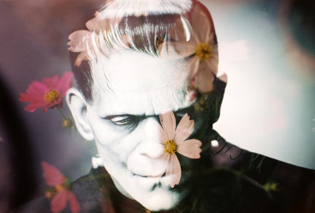 Photograph of Frankenstein from an old black and white film, with pink flowers overlaid. 