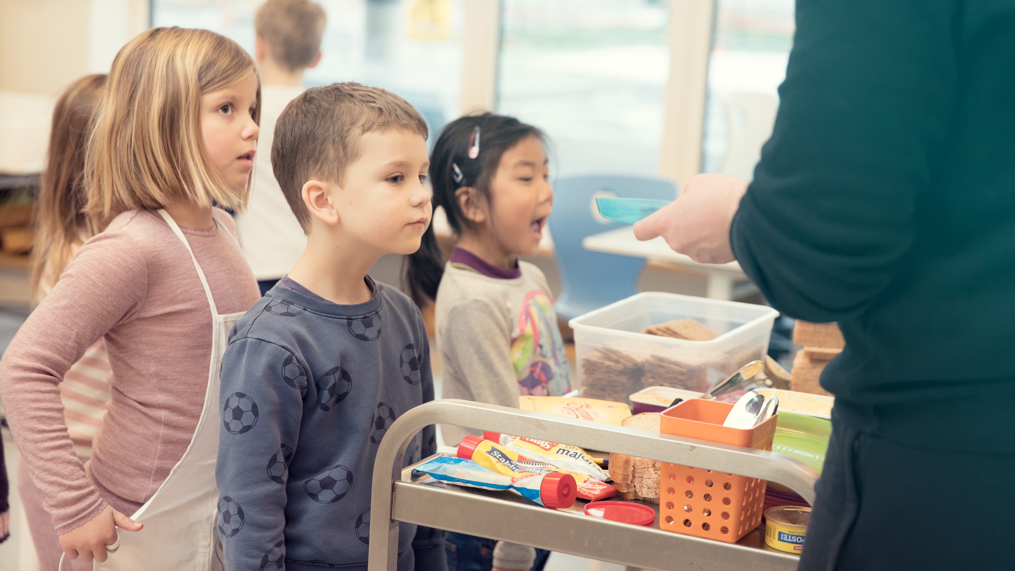 Pedagogisk Arbeid NDLA