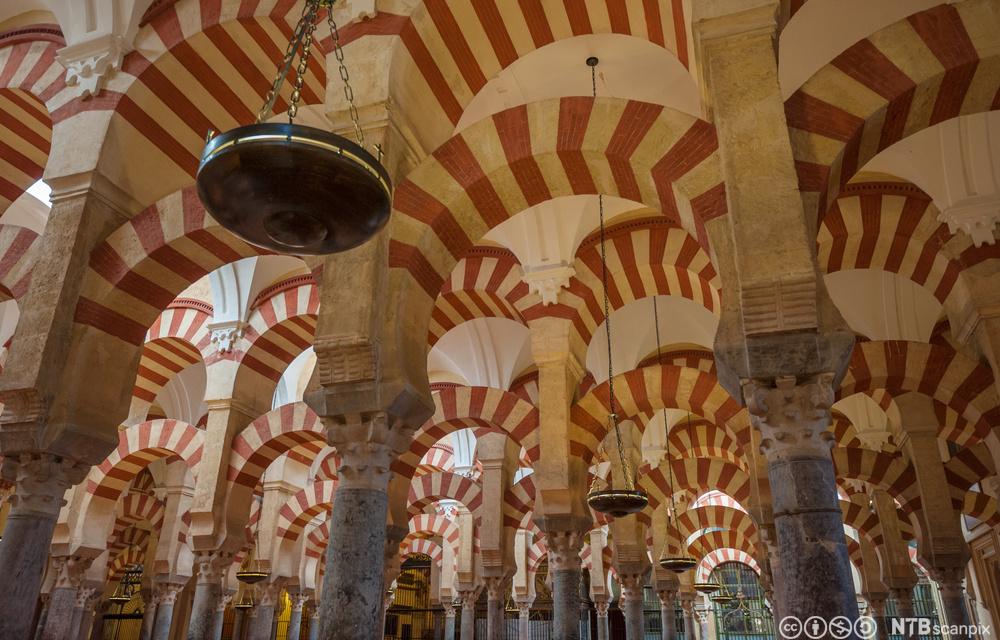 Interiør i moské-katedralen, La Mezquita, i Córdoba, Spania. Foto. 