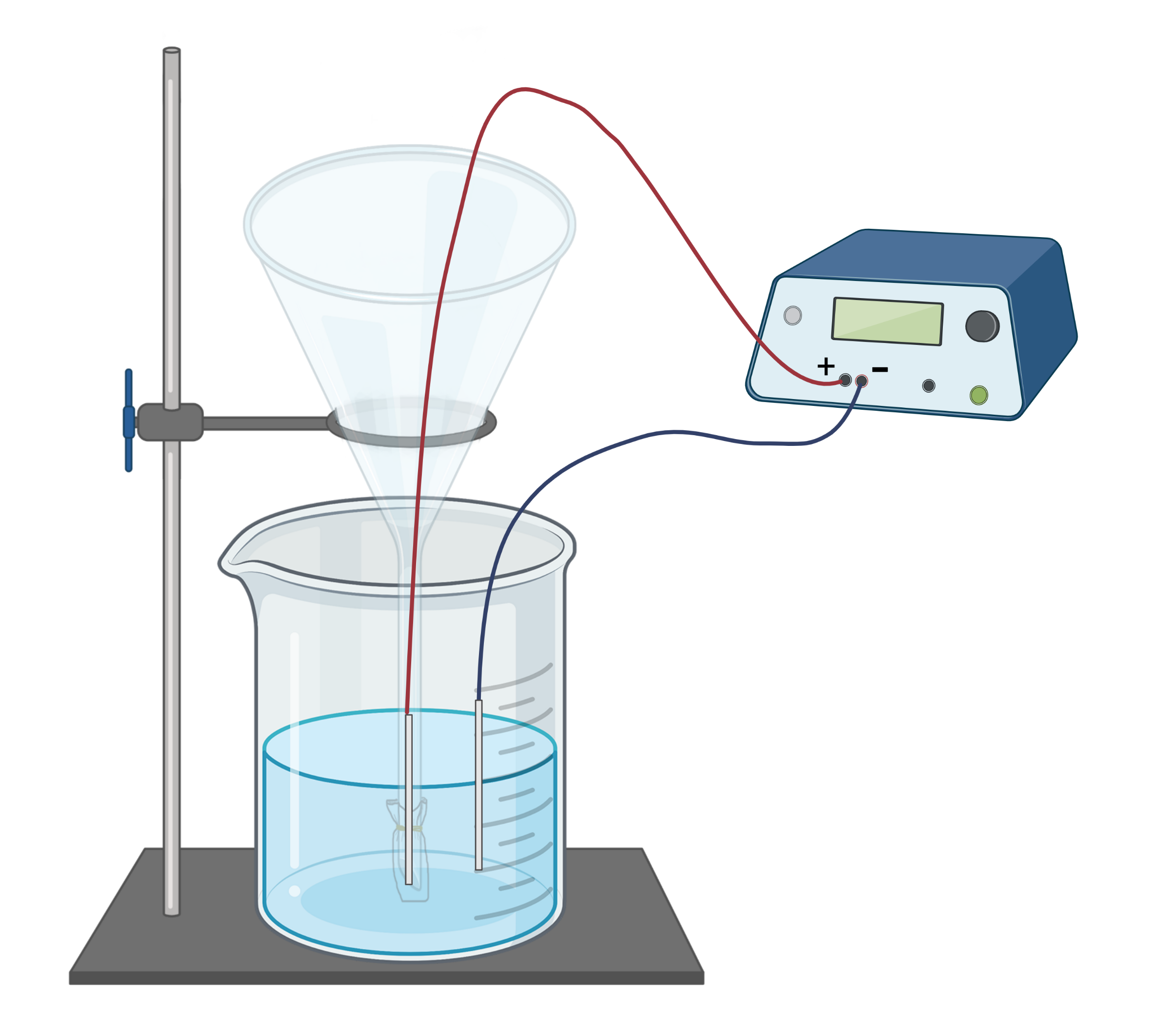 Forsøk Simulering Av Membranpotensial Biologi 1 Ndla 