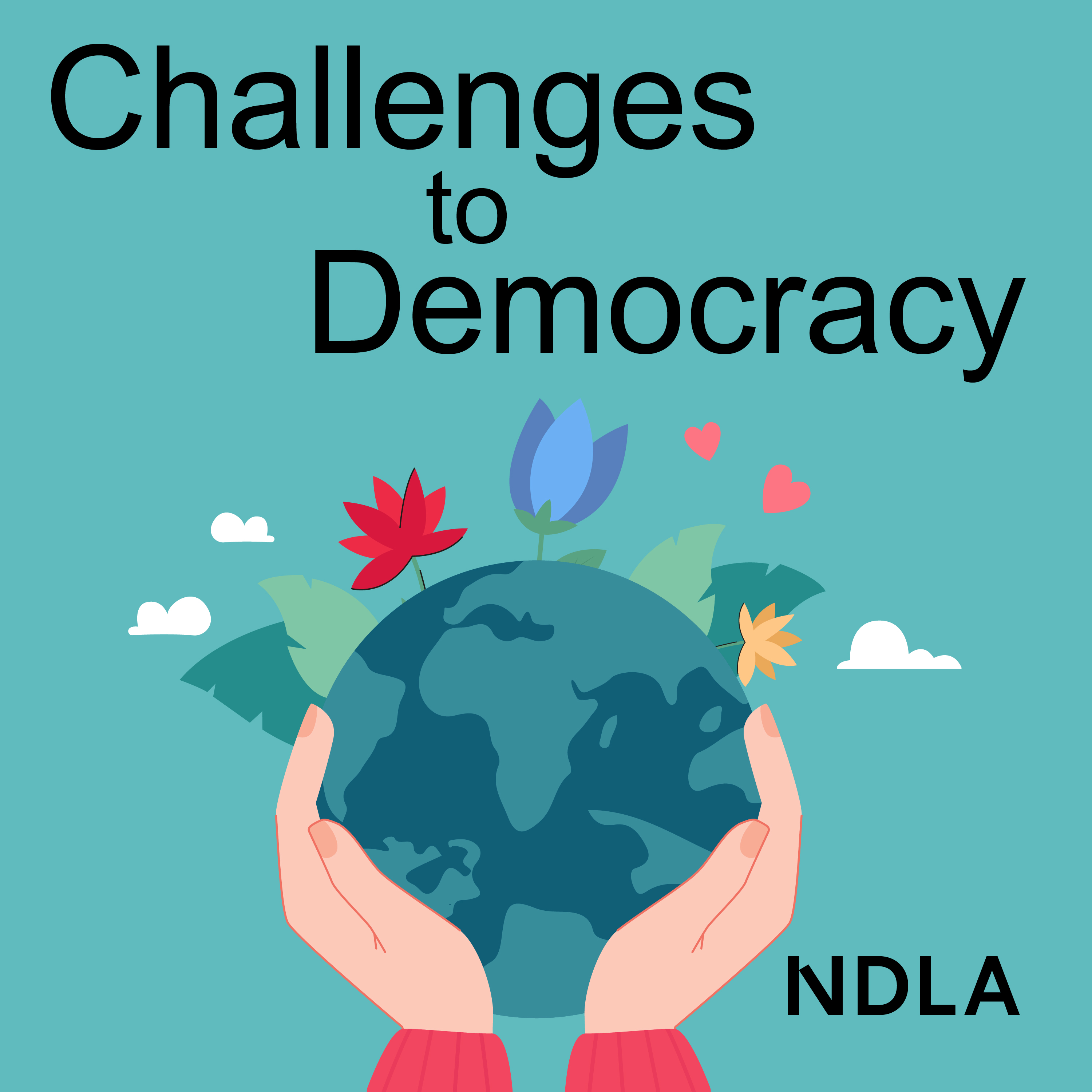 working of democracy in india