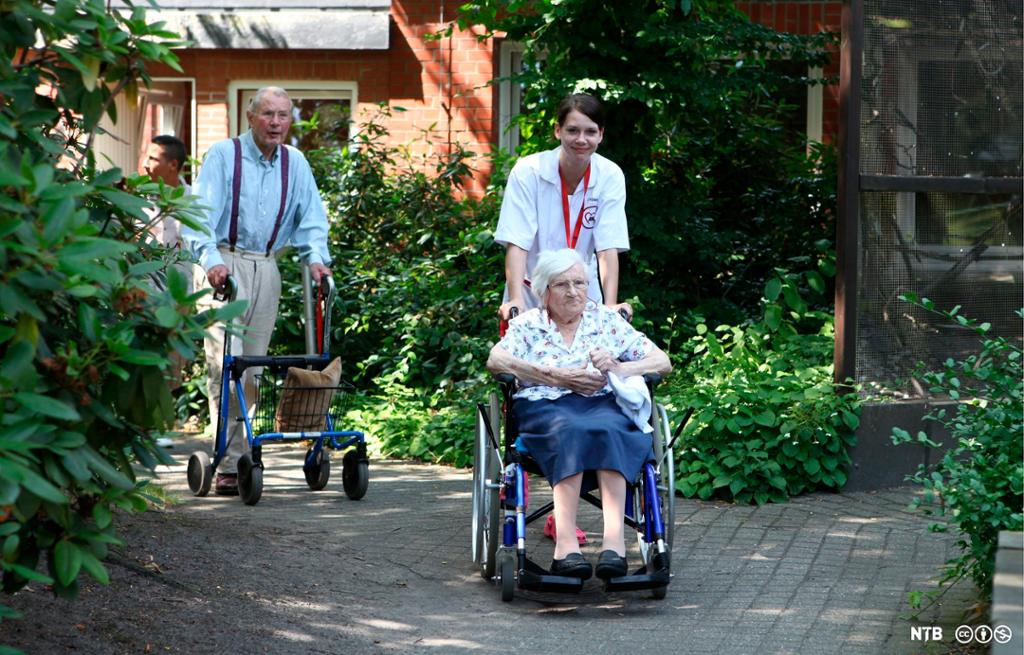Helsefagarbeidar på tur utandørs med eldre dame i rullestol og eldre mann med rullator. Foto.