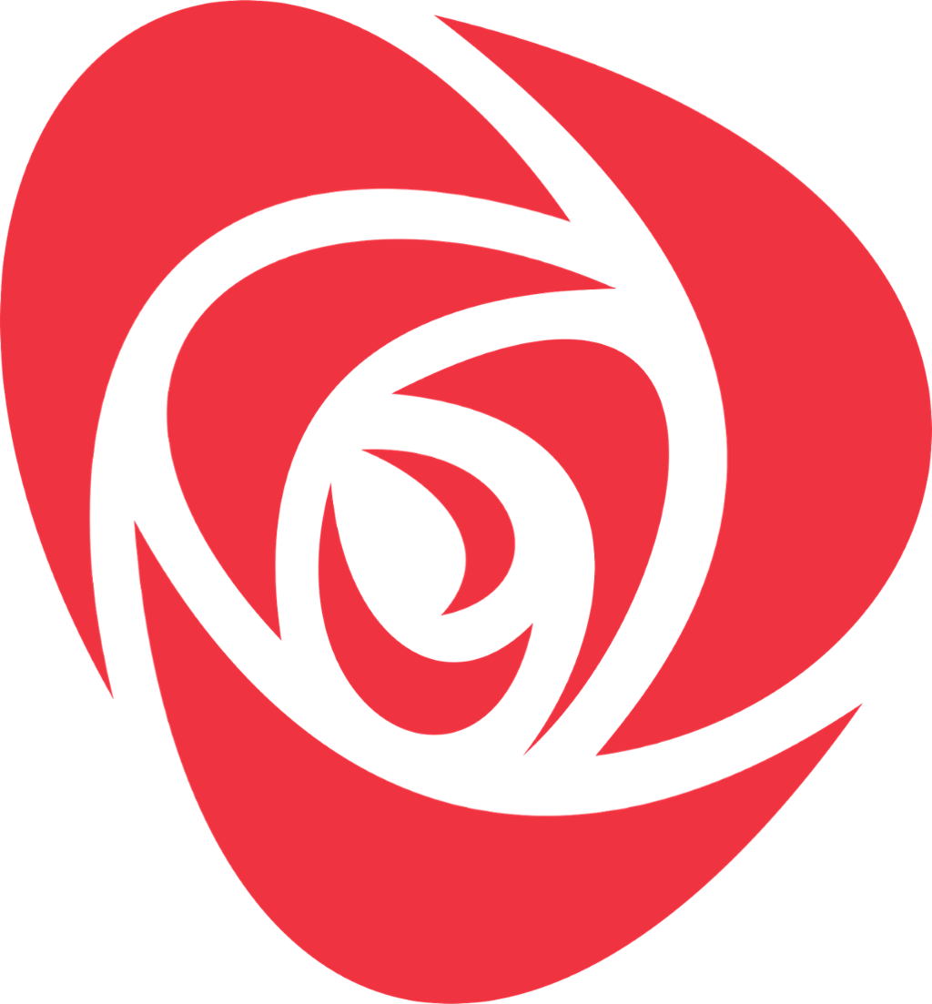 Arbeiderpartiets logo. Rød rose sett ovenfra på hvit bakgrunn. Illustrasjon.