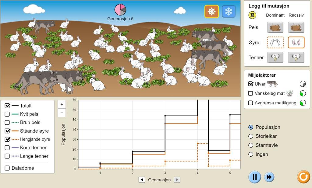Kaninar og ulvar. Grafar som viser korleis vala dine påverkar populasjonsutviklinga. Illustrasjon.