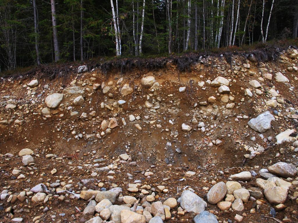 Skråning der jorda under bakken har blitt synleg. Jorda består av brun sand med steinar i mange ulike storleikar. Foto.