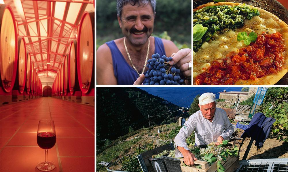 Stemningsbilder fra Italia. Produksjon av vin i fjellet. En mann med blå druer i hendene. Bilde fra en vinkjeller.