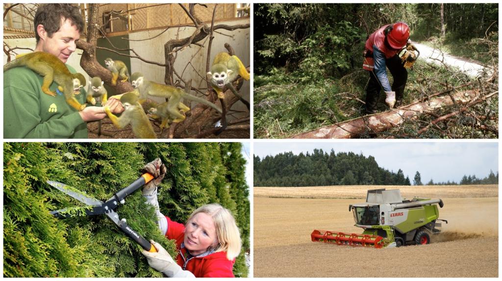 Fire arbeidsoppgaver i naturbruk. Fotokollasj