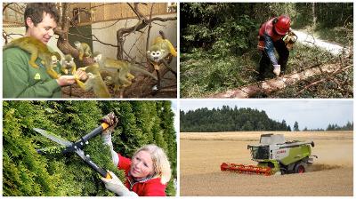 Fire arbeidsoppgaver i naturbruk. Fotokollasj.