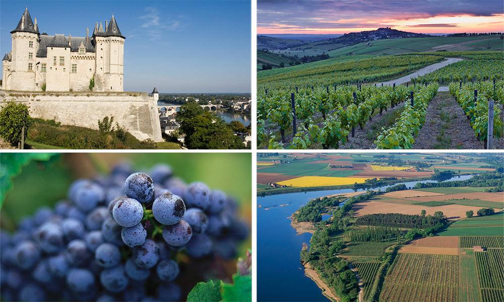 Kollasj med vinranker og landskap fra Loire, slottet Chateau de Saumur og blå druer.