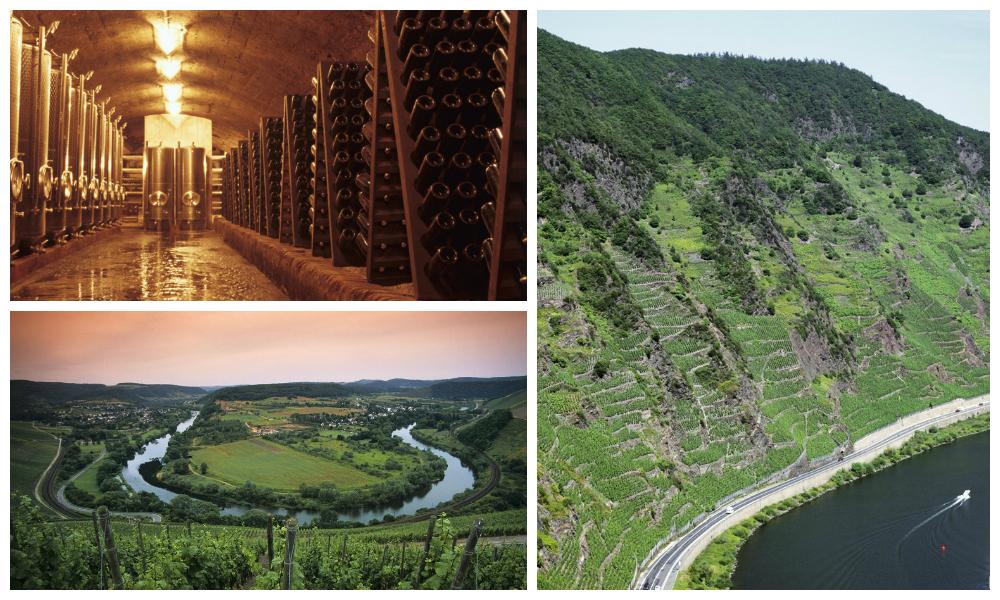 Vinområder i Mosel-Saar-Ruwer i Tyskland.