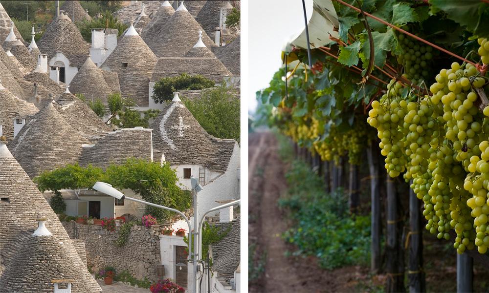 Hustak i byen Alberobello og grønne druer i Puglia.