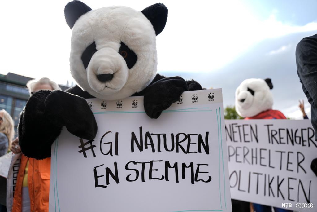 En stor panda-bamse som holder med plakat med teksten #GI NATUREN EN STEMME