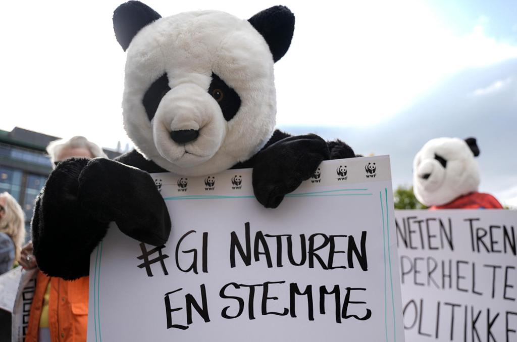 En stor pandabamse som holder en plakat med teksten "#Gi naturen en stemme". Foto.