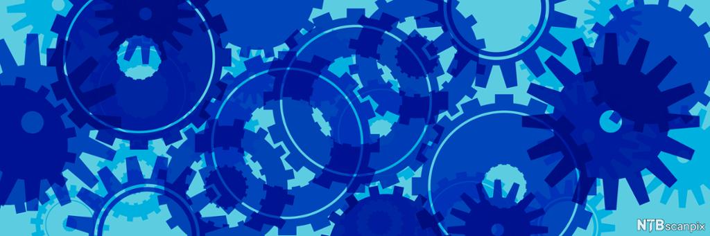 Illustration: The picture is light and dark blue and show a number of cogs overlapping and interlocking with each other. 