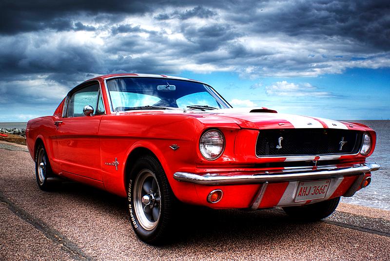 Red mustang. Photo.