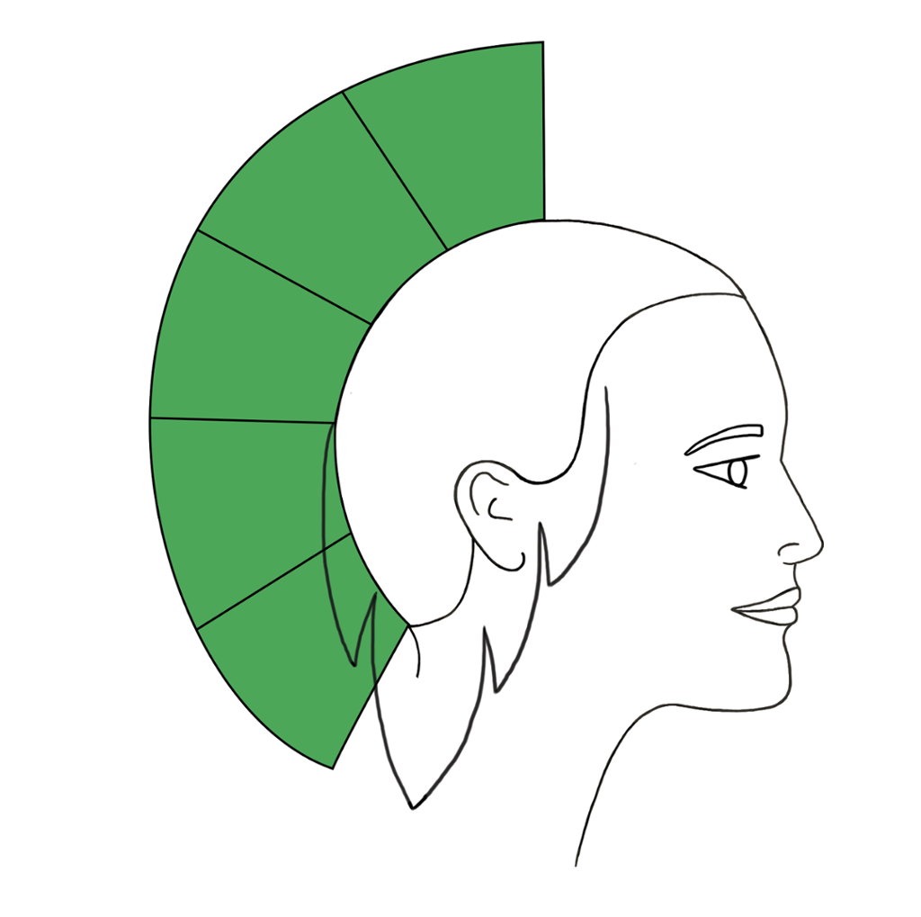 Profil med grønt felt som viser hår med lik lengde. Illustrasjon.