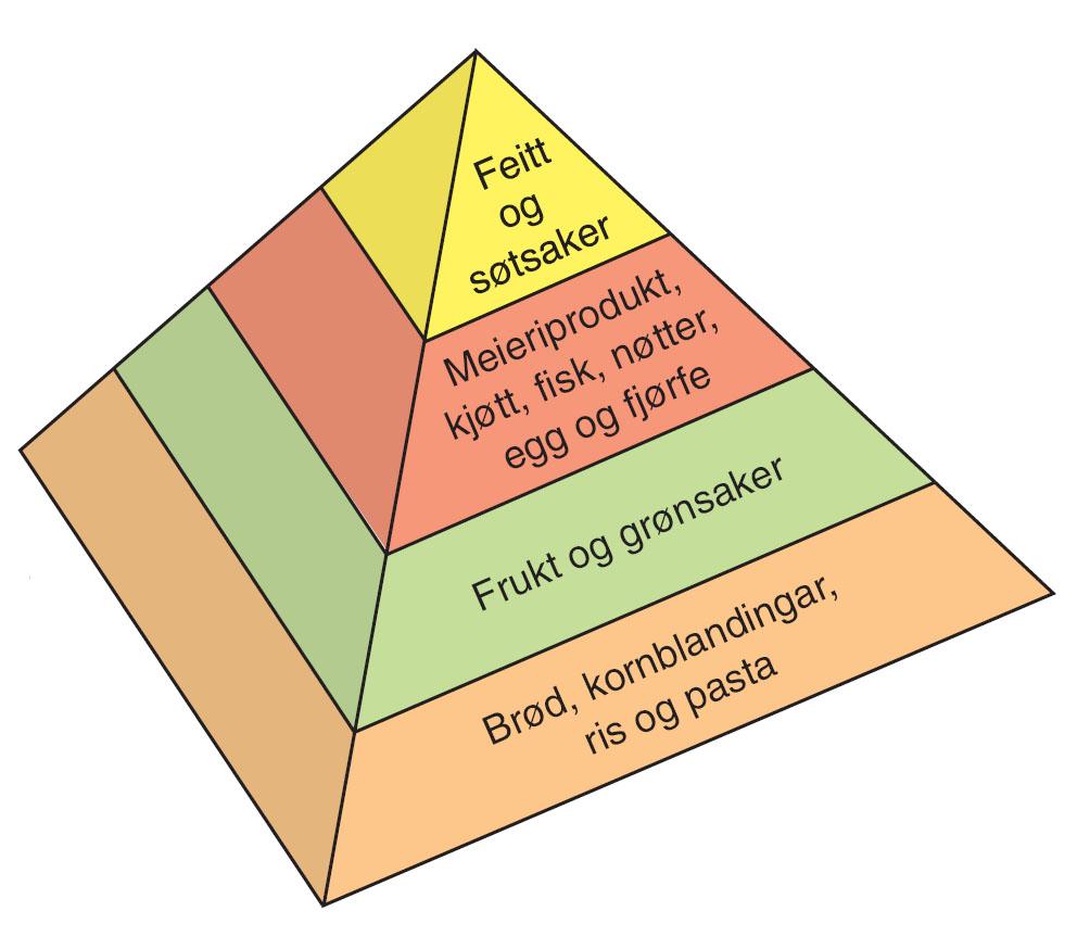 Næringspyramiden. Illustrasjon.
