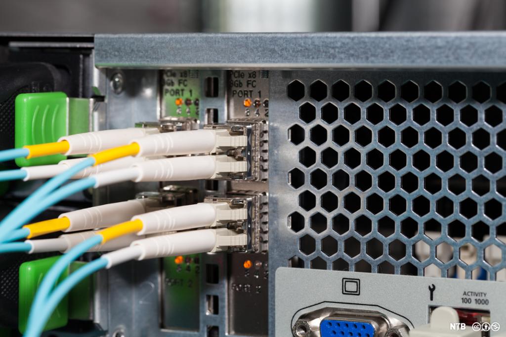 Fiberbasert nettverkskort på bakside av server med fire fibertilknytninger. Foto.