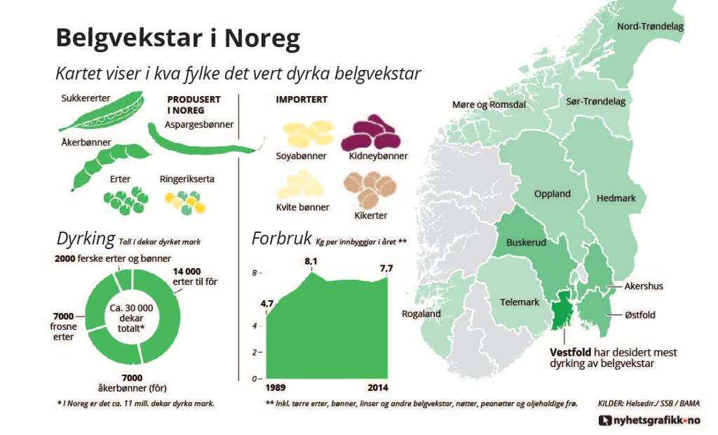 Belgvekster i Norge. Grafikk.