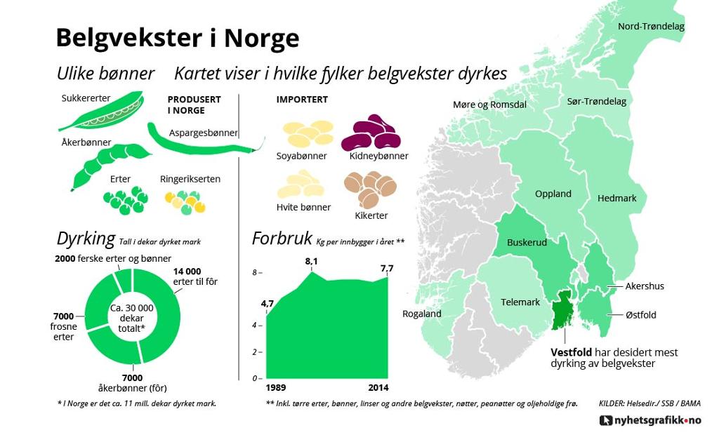 Belgvekster i Norge. Grafikk.