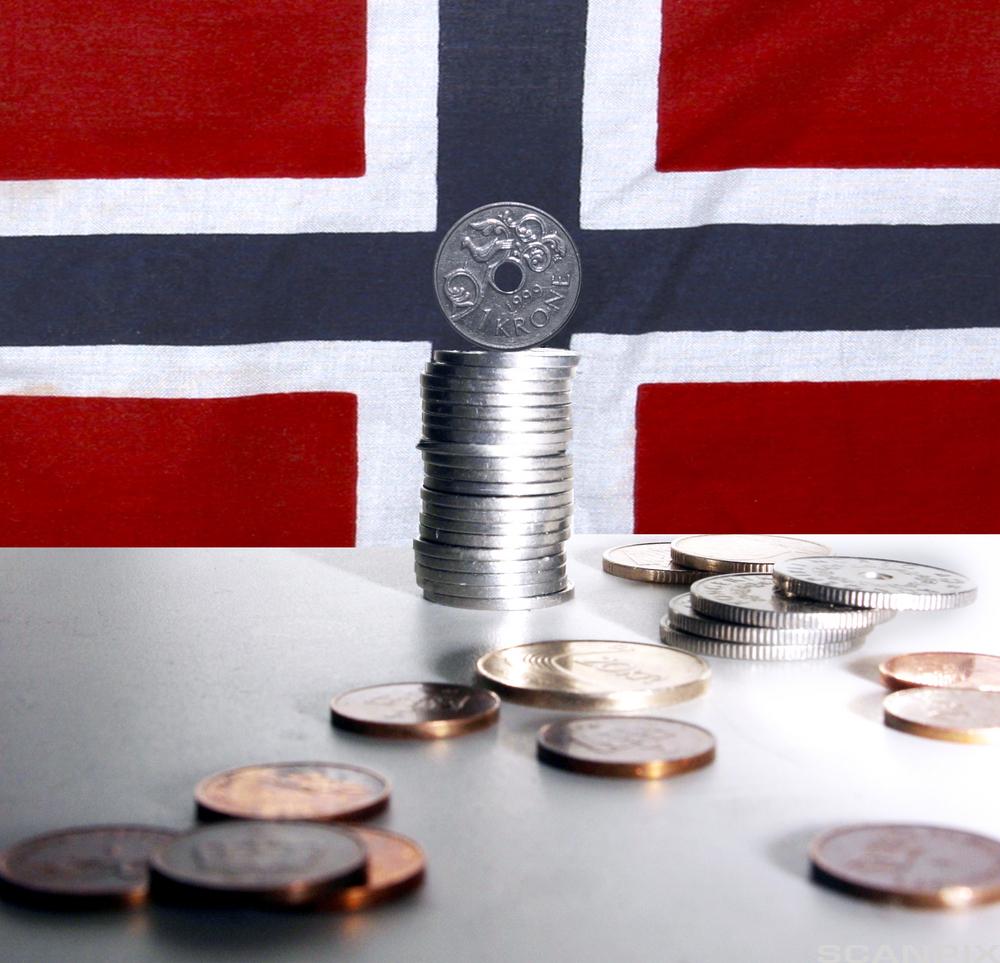 Mynter foran et norsk flagg. Foto.