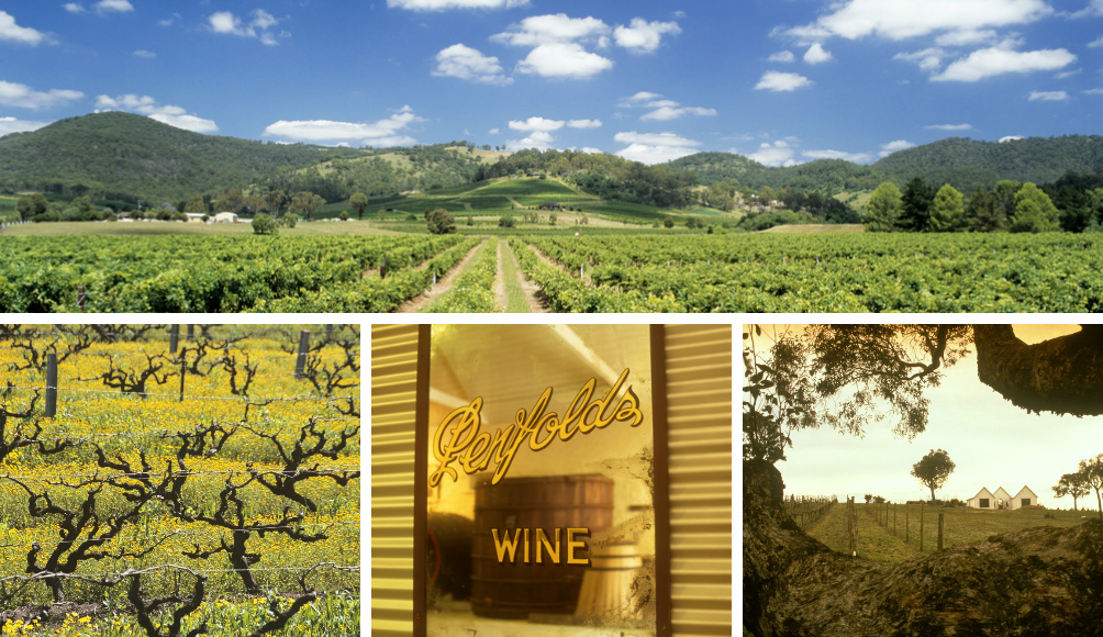 Kollasj: Bilder fra vinområdene i Australia.