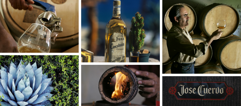 Kollasj: Tequila