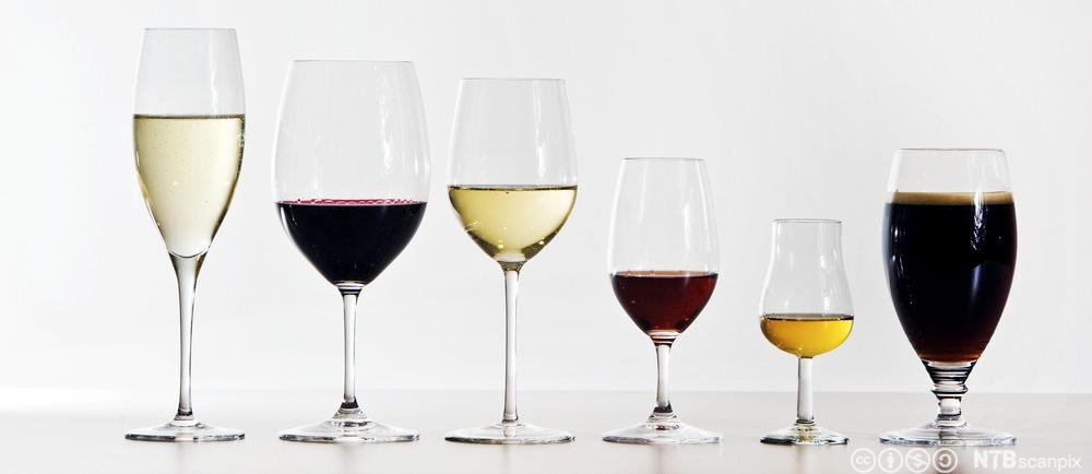 Ulike typar glas med drikke i. Frå venstre: champagne, raudvin, kvitvin, sterkvin, brennevin og øl. Foto.