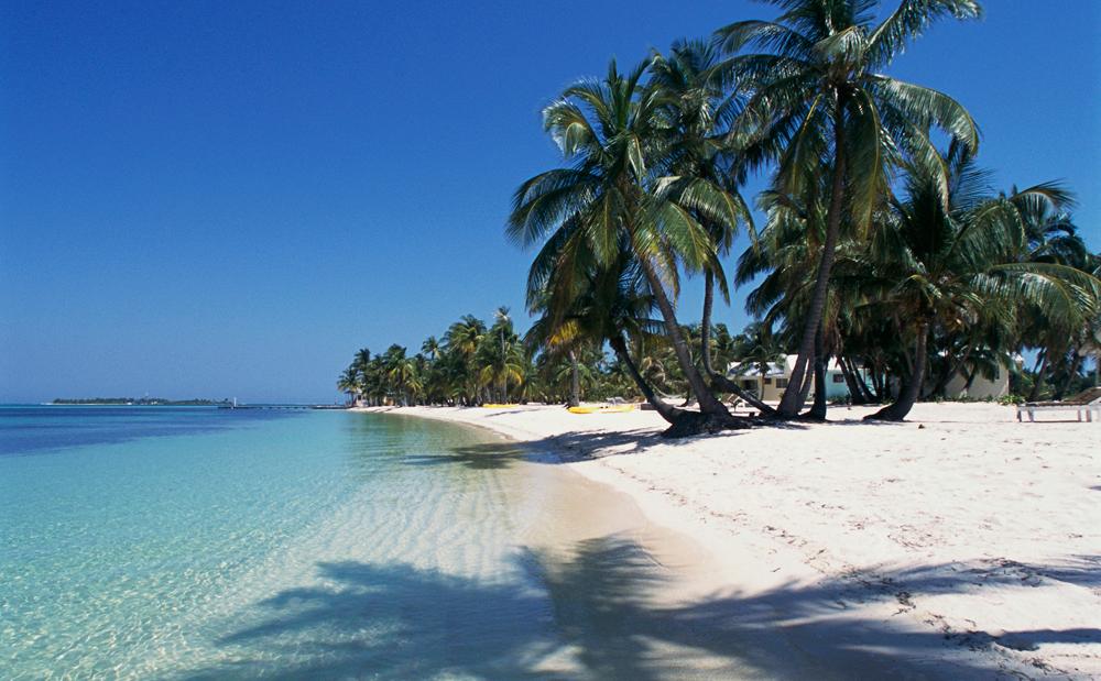 Tropisk sandstrand med bananpalmer og turkist hav. Sol og blå himmel. Foto.