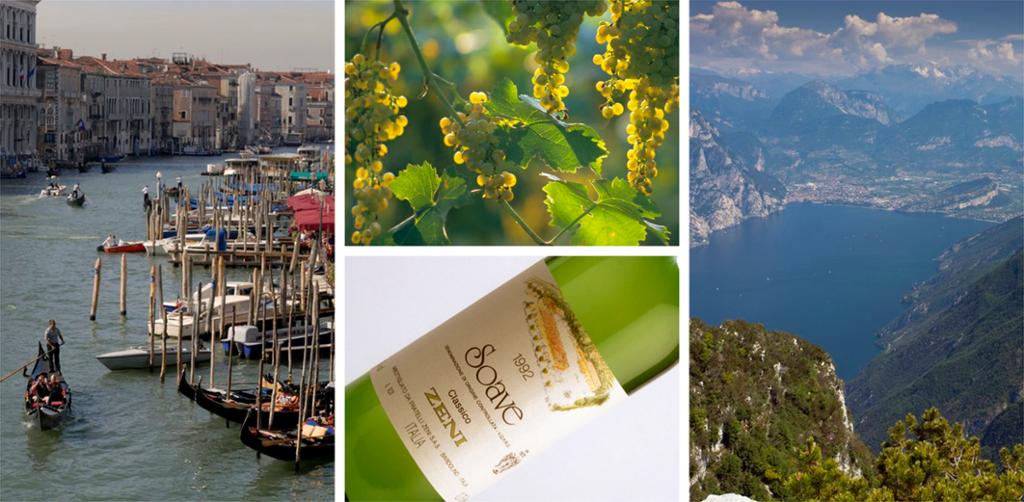 Stemningsbilder fra Veneto i Italia. Båter i kanalen. Vindruer og en flaske Soave.