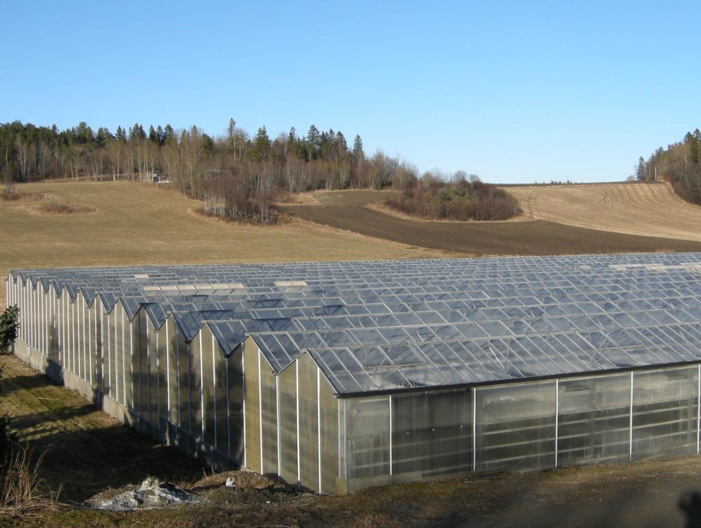 Stort veksthus med mange langsgåande møne. Foto.