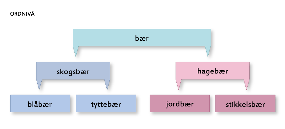 Modell som viser ordnivå. Illustrasjon.