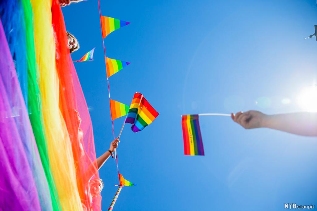 Ei rekkje regnbogeflagg under Oslo Pride i 2018. Foto.