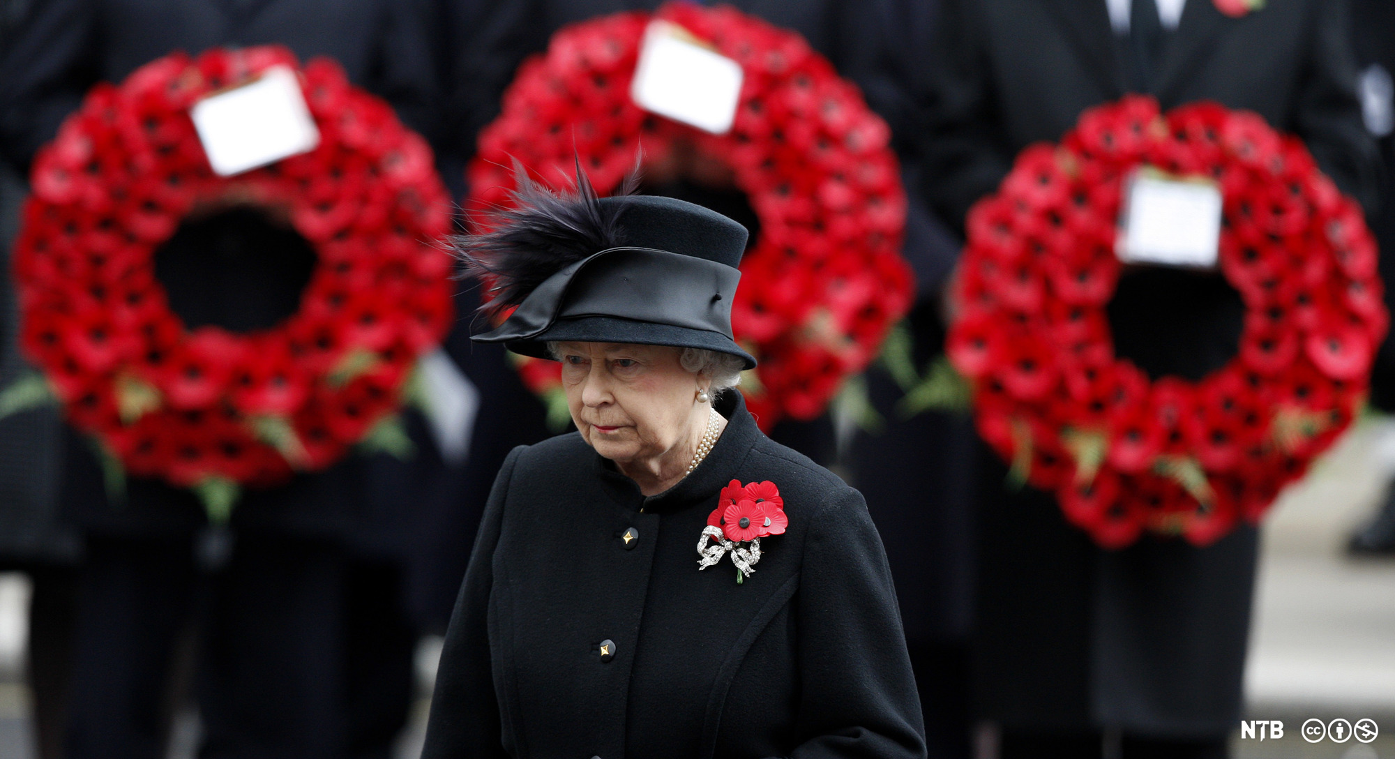 Remembrance Day: Why do people wear poppies? - BBC Newsround