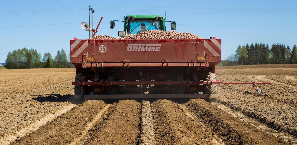 Traktor med potetsetter lager fire fine rader i jorda etter seg. Foto.
