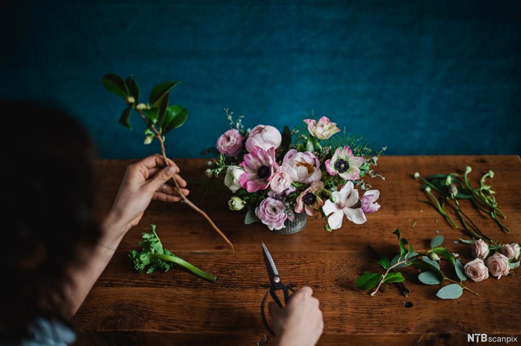 Nærbilde av hender som jobber med blomster. Foto.