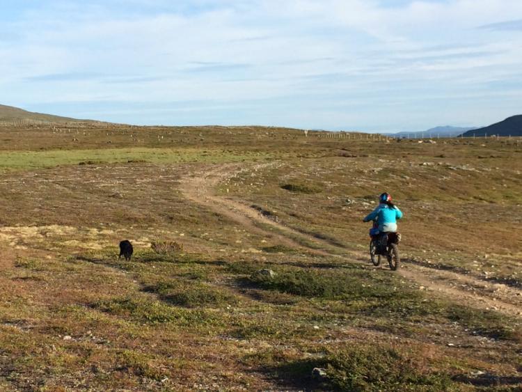 Nyjsenæjja motovresygkelem vaeresne vuaja. Guvvie.