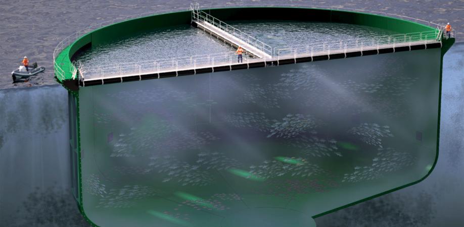 Snitt av en lukket merd for fiskeoppdrett. To personer på gangbroene på vannoverflaten i merden. En person i rib-båt ved siden av. Illustrasjon.