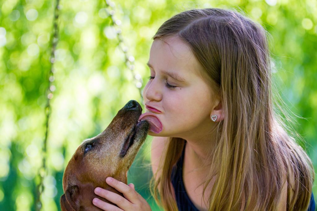  En hund slikker ei jente i ansiktet. Foto.