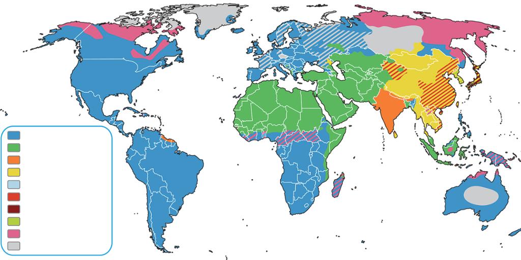 Kart som viser hvor de ulike religionene er mest utbredt. Illustrasjon.