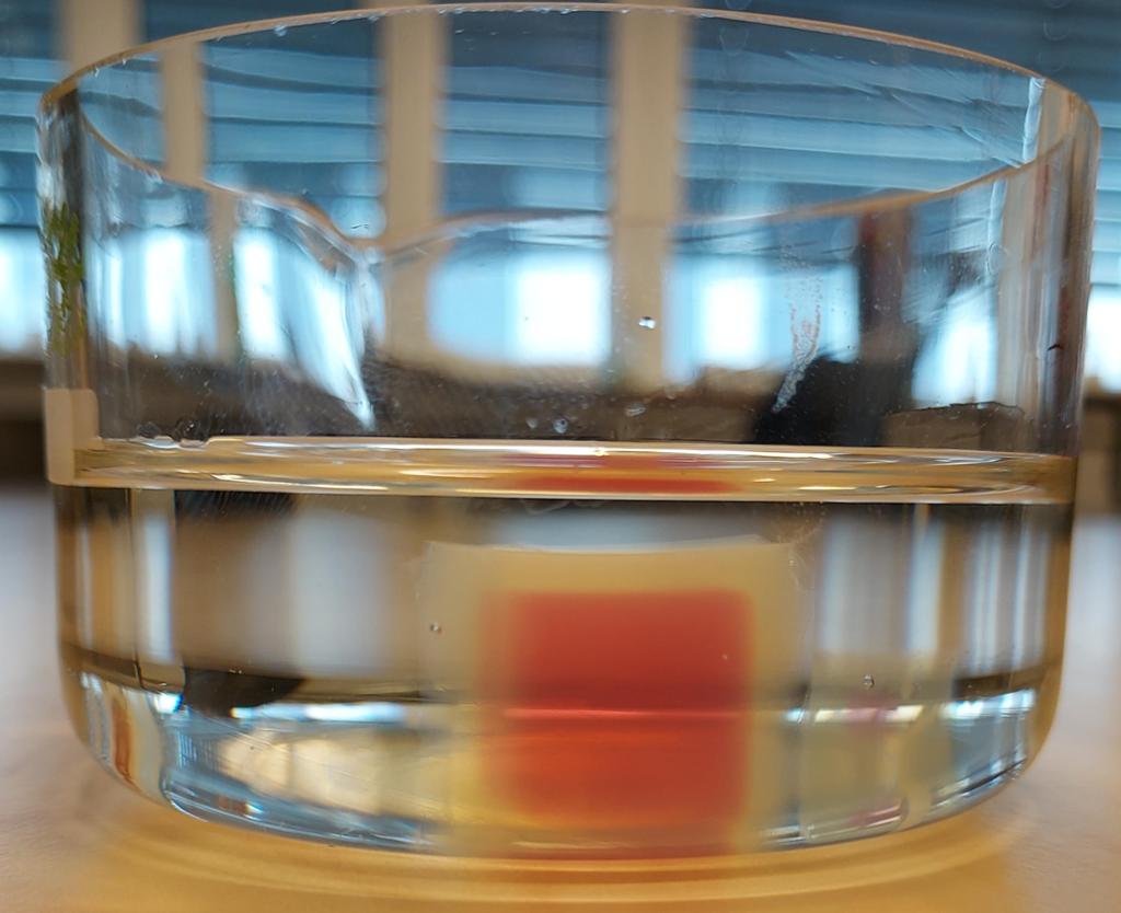 Geléaktig terning med rødt felt ligger i væske i et glass. Foto.