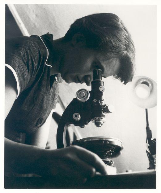Rosalind Franklin studerer i mikroskop. Foto.