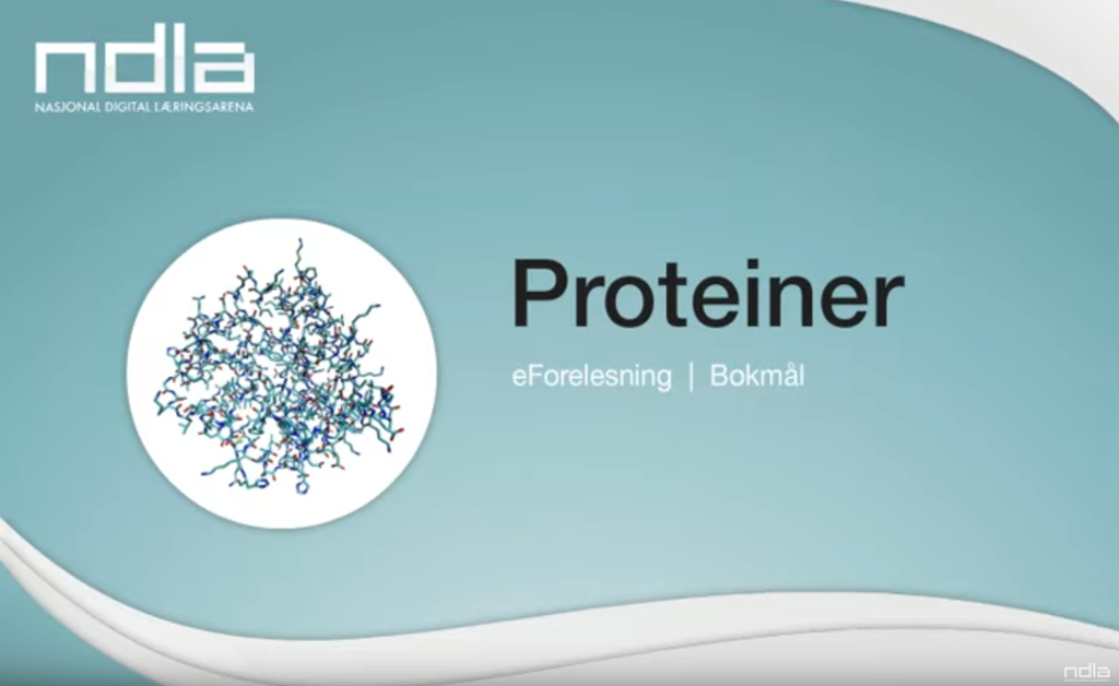 Skjermdump fra e-forelesning om proteiner. Foto.
