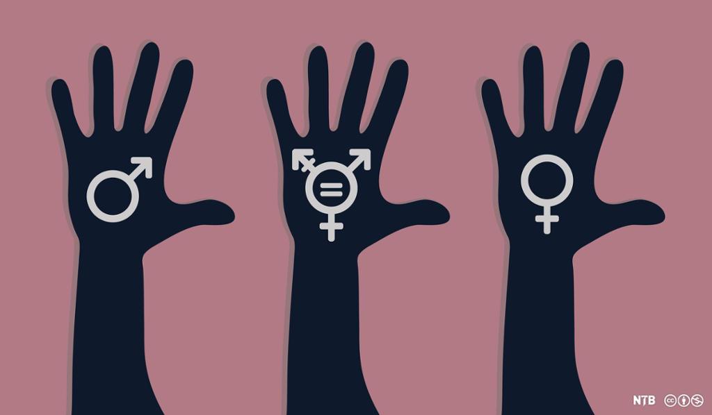 Illustration: We see three hands on a pink background. Each hand has a symbol . The first has the symbol for man, the second for transgender, the third for woman. 